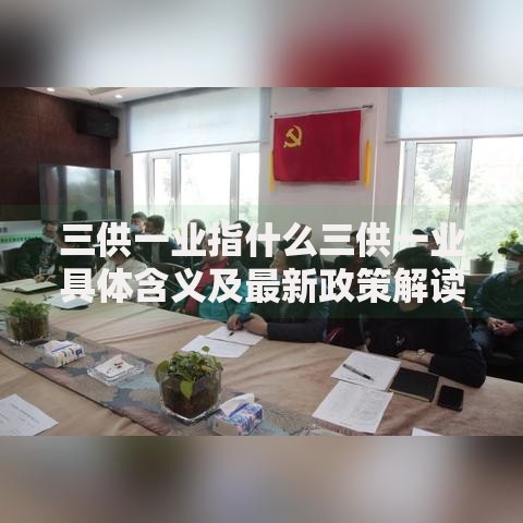 三供一业指什么三供一业具体含义及最新政策解读
