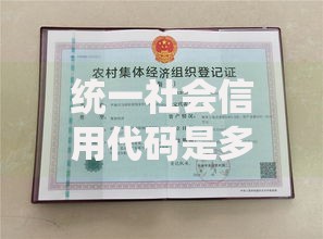 统一社会信用代码是多少位数字？18位代码查询方法全解析