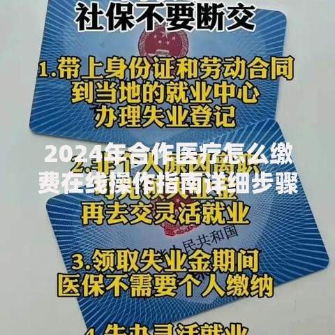 2024年合作医疗怎么缴费在线操作指南详细步骤