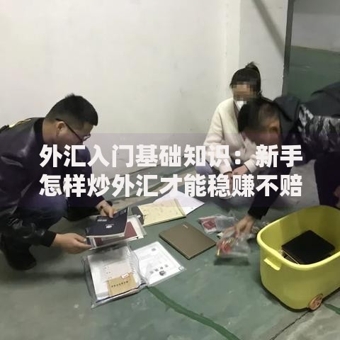 外汇入门基础知识：新手怎样炒外汇才能稳赚不赔br