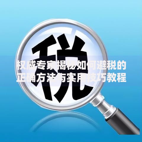 权威专家揭秘如何避税的正确方法与实用技巧教程