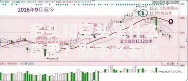 多头和空头是什么意思？新手必看的股市交易术语详解