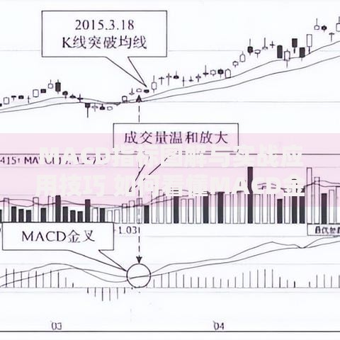 MACD指标图解与实战应用技巧 如何看懂MACD金叉死叉信号