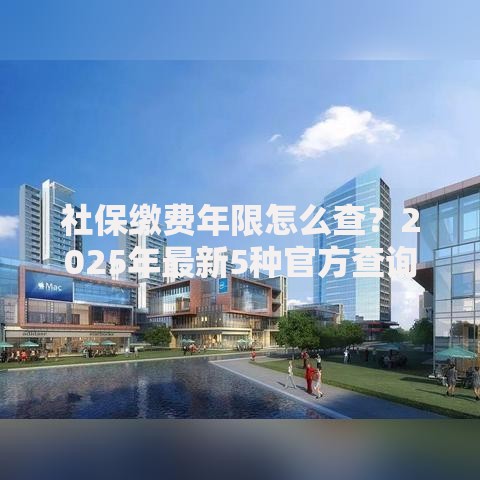 社保缴费年限怎么查？2025年最新5种官方查询方法大全