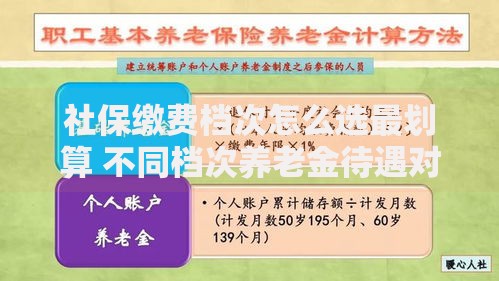 社保缴费档次怎么选最划算 不同档次养老金待遇对比指南