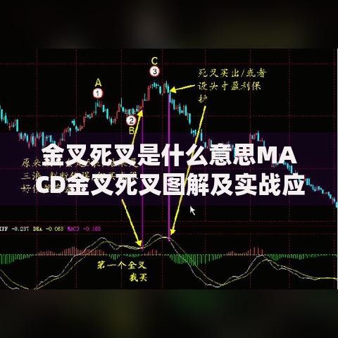 金叉死叉是什么意思MACD金叉死叉图解及实战应用技巧