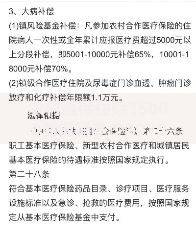 农村医保住院15000能报销多少2025年最新政策