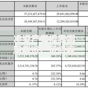 净资产在报表哪里看资产负债表中的位置详解指南