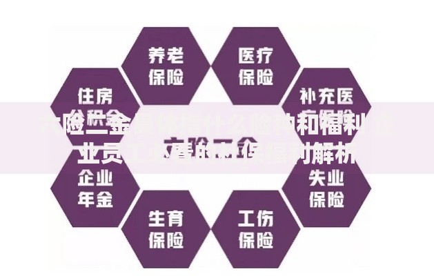 六险二金具体指什么险种和福利 企业员工必看的社保福利解析