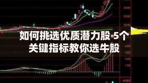 如何挑选优质潜力股 5个关键指标教你选牛股