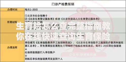 生育险怎么查完整指南教你在线快速查询生育保险余额