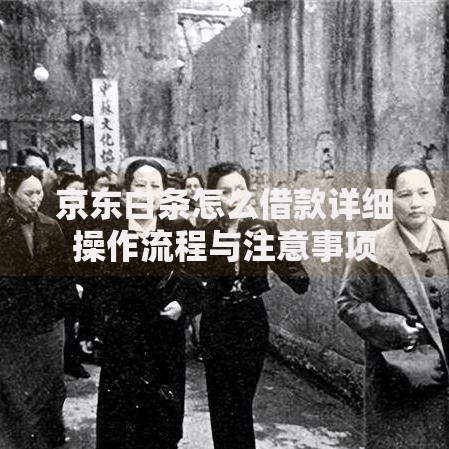 京东白条怎么借款详细操作流程与注意事项