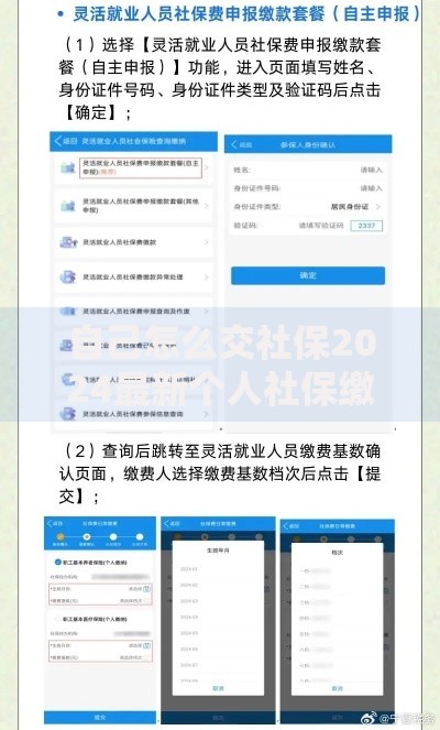 自己怎么交社保2024最新个人社保缴费全流程指南