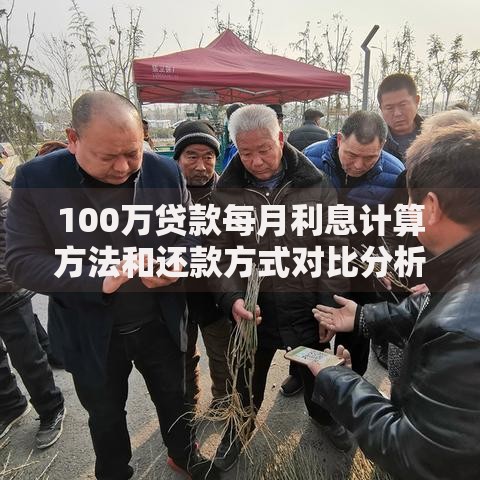 100万贷款每月利息计算方法和还款方式对比分析