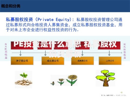 PE投资是什么意思 私募股权投资解析