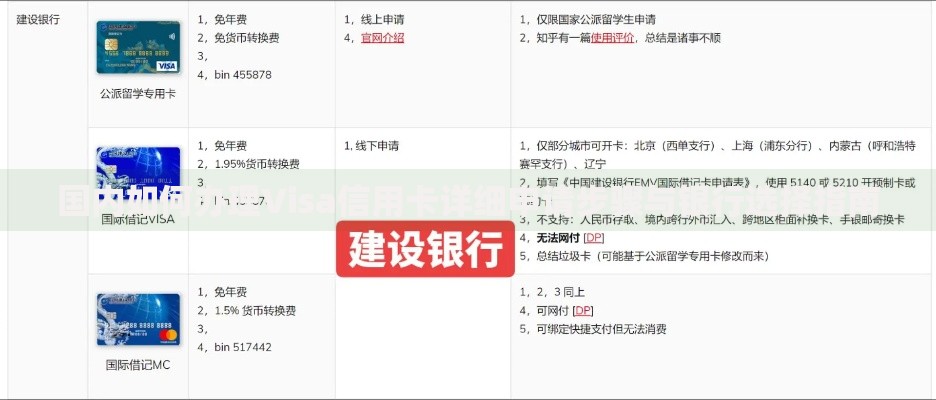 国内如何办理Visa信用卡详细申请步骤与银行选择指南