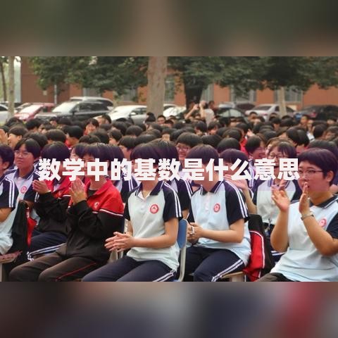 数学中的基数是什么意思