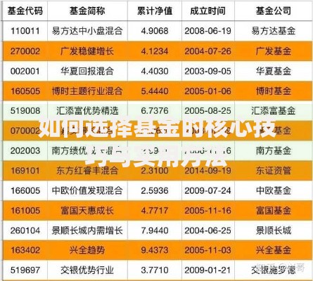如何选择基金的核心技巧与实用方法