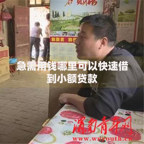 急需用钱哪里可以快速借到小额贷款