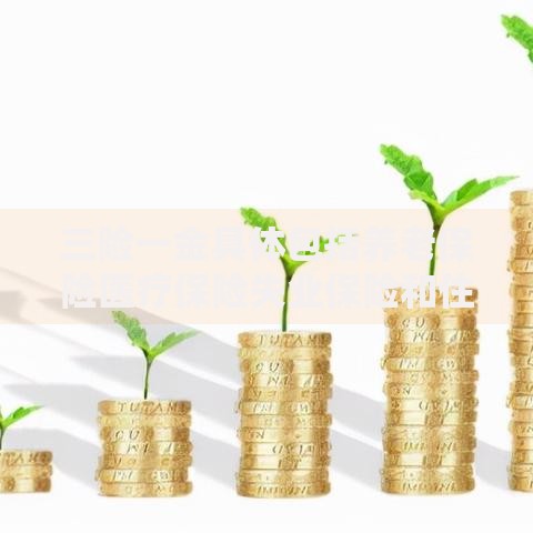 三险一金具体包括养老保险医疗保险失业保险和住房公积金 三险一金具体包括养老保险医疗保险失业保险和住房公积金