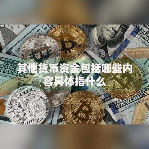 其他货币资金包括哪些内容具体指什么