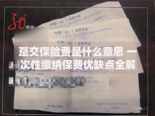 趸交保险费是什么意思 一次性缴纳保费优缺点全解析