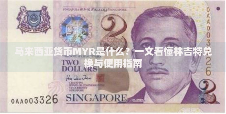 马来西亚货币MYR是什么？一文看懂林吉特兑换与使用指南