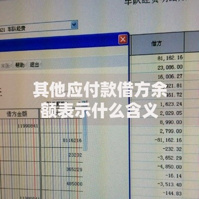 其他应付款借方余额表示什么含义