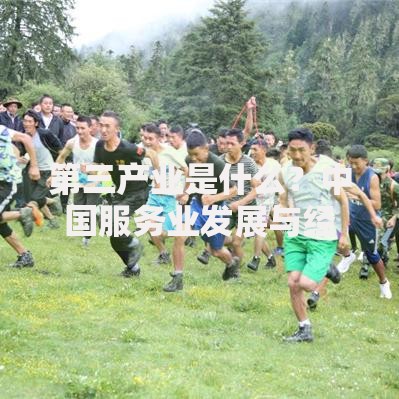 第三产业是什么？中国服务业发展与经济结构转型解析