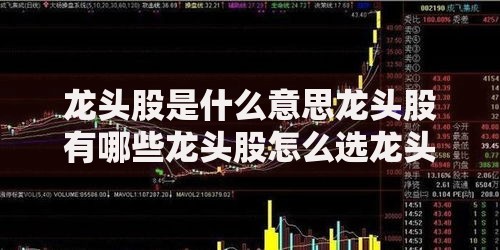 龙头股是什么意思龙头股有哪些龙头股怎么选龙头股的特征和优势