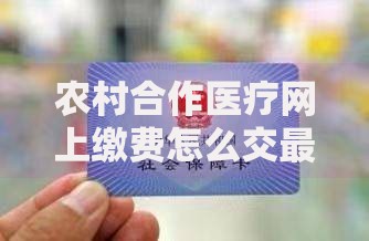 农村合作医疗网上缴费怎么交最新详细操作步骤指南