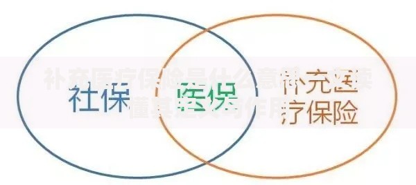 补充医疗保险是什么意思一文读懂其定义与作用