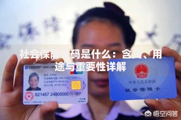 社会保障号码是什么：含义、用途与重要性详解