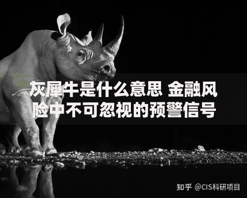 灰犀牛是什么意思 金融风险中不可忽视的预警信号解析