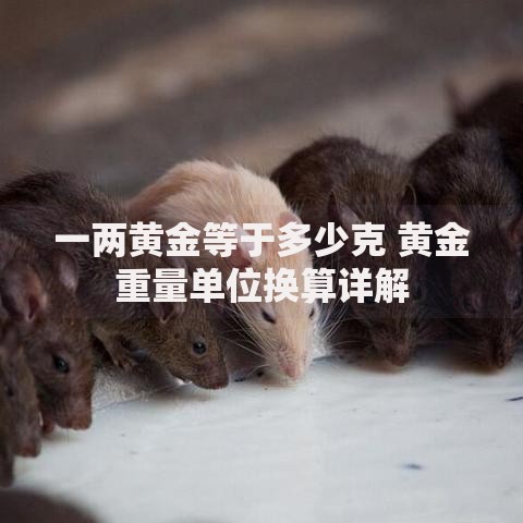 一两黄金等于多少克 黄金重量单位换算详解