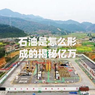 石油是怎么形成的揭秘亿万年前地球深处的神秘转化过程