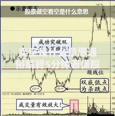卖空是什么意思通俗解释5分钟看懂股票卖空操作
