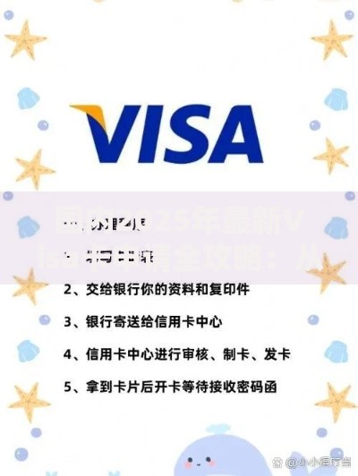 国内2025年最新Visa卡申请全攻略：从材料准备到秒批技巧