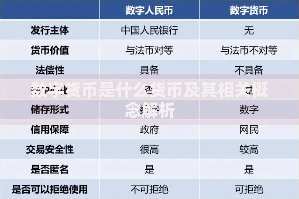 数字货币是什么货币及其相关概念解析