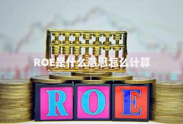 ROE是什么意思怎么计算