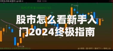 股市怎么看新手入门2024终极指南全面解析技巧与行情走势分析