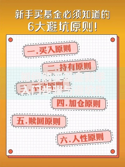 如何购买基金新手入门步骤与避坑指南