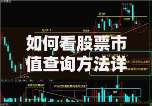 如何看股票市值查询方法详细教程与实战技巧