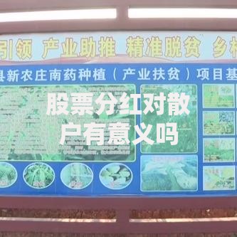 股票分红对散户有意义吗