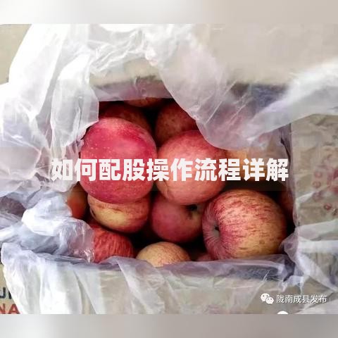 如何配股操作流程详解