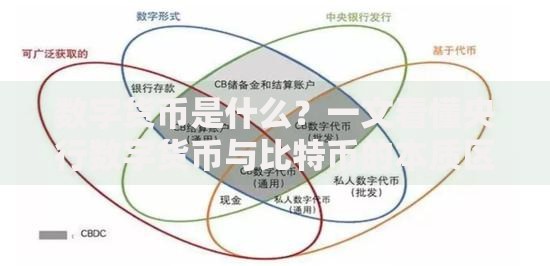 数字货币是什么?一文看懂央行数字货币与比特币的本质区别 数字货币是什么?一文看懂央行数字货币与比特币的本质区别