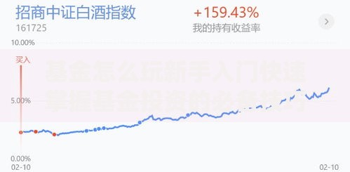 基金怎么玩新手入门快速掌握基金投资的必备技巧指南 基金怎么玩新手入门快速掌握基金投资的必备技巧指南