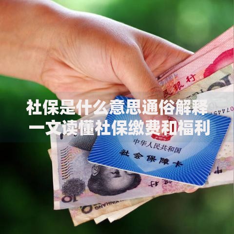 社保是什么意思通俗解释 一文读懂社保缴费和福利待遇