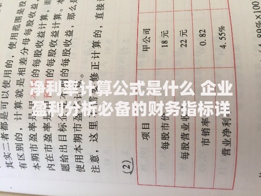 净利率计算公式是什么 企业盈利分析必备的财务指标详解 净利率计算公式是什么 企业盈利分析必备的财务指标详解