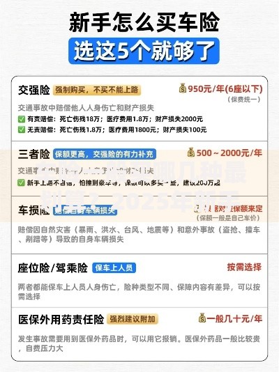 车险一般买哪几种最划算？2025年新手必看投保指南